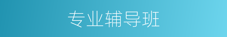 专业辅导班的同义词