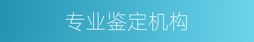 专业鉴定机构的同义词