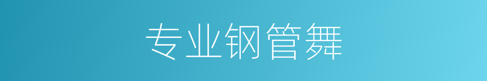 专业钢管舞的同义词