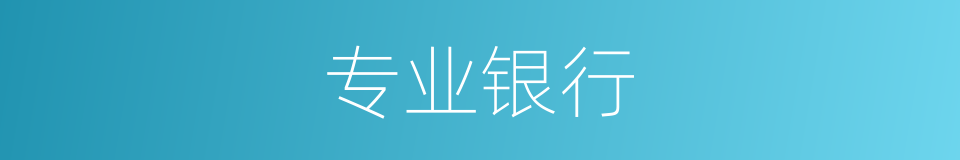 专业银行的意思