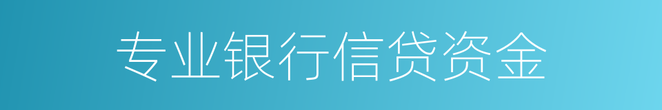 专业银行信贷资金的同义词