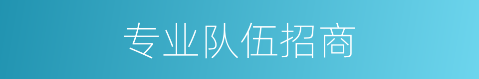 专业队伍招商的同义词