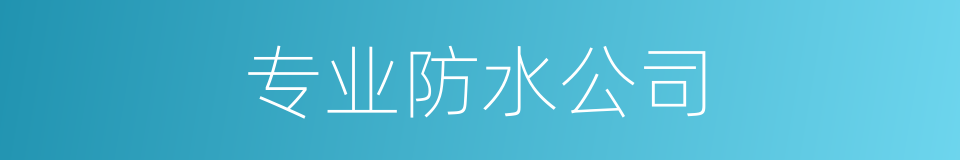 专业防水公司的同义词