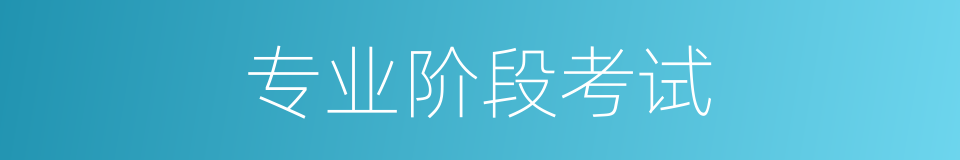 专业阶段考试的同义词