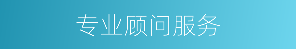 专业顾问服务的同义词