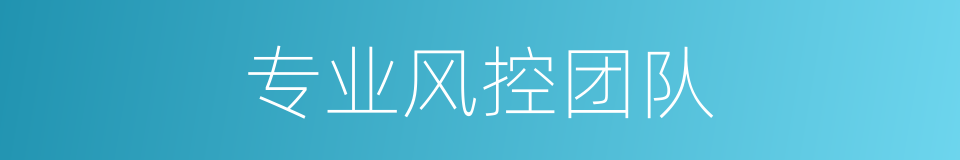 专业风控团队的同义词