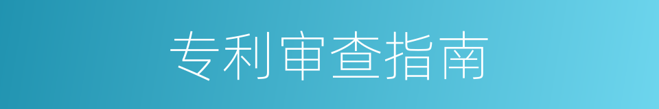 专利审查指南的同义词
