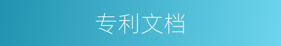 专利文档的同义词