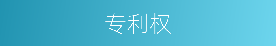 专利权的意思