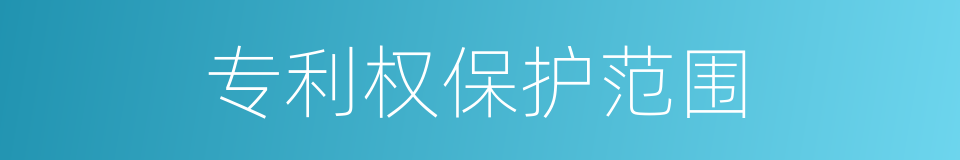 专利权保护范围的同义词