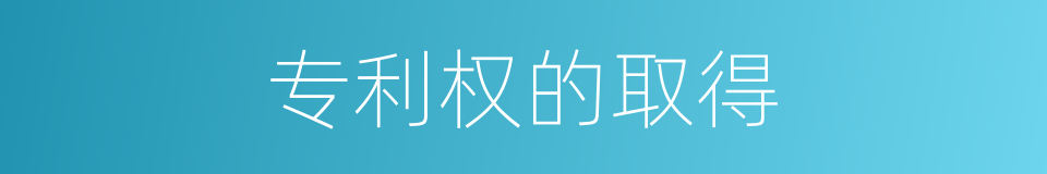 专利权的取得的同义词