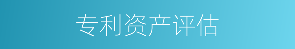 专利资产评估的同义词