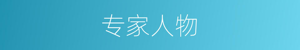 专家人物的同义词
