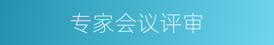 专家会议评审的同义词