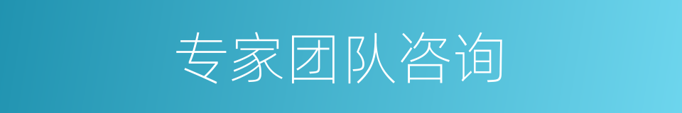 专家团队咨询的同义词