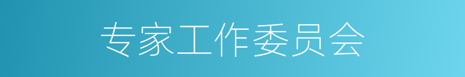 专家工作委员会的同义词