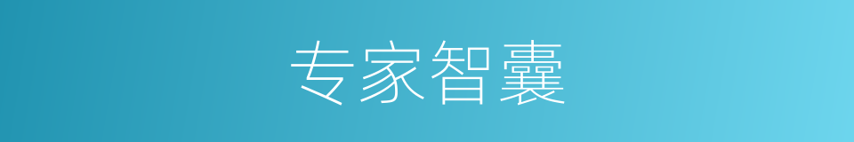 专家智囊的同义词
