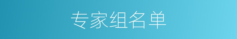 专家组名单的同义词