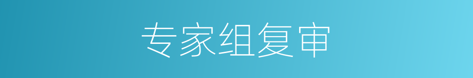 专家组复审的同义词