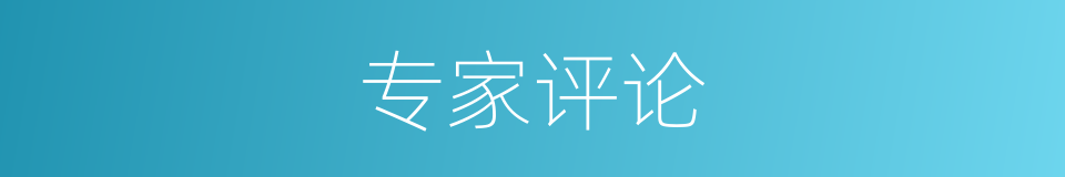 专家评论的同义词