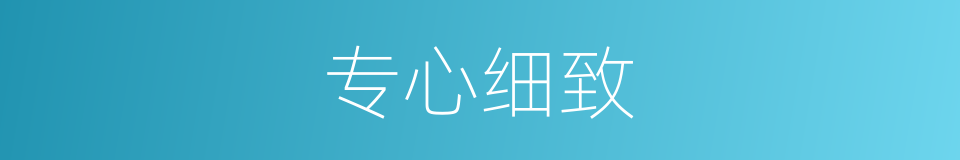 专心细致的同义词