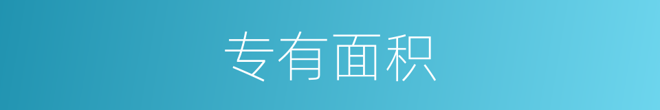 专有面积的同义词