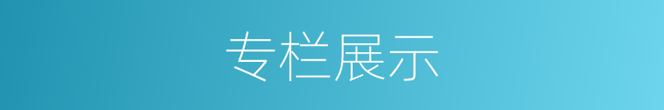 专栏展示的同义词