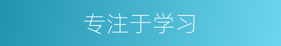 专注于学习的同义词