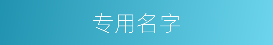 专用名字的同义词