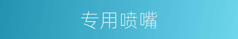专用喷嘴的同义词