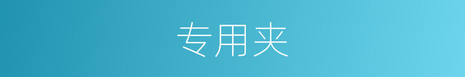 专用夹的同义词