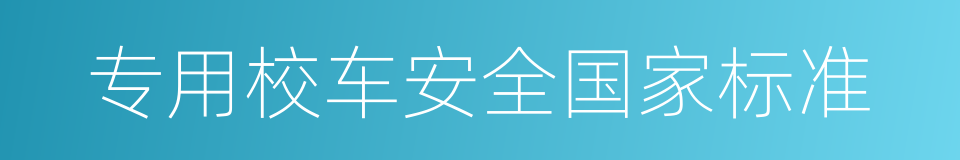 专用校车安全国家标准的同义词