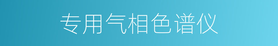 专用气相色谱仪的同义词