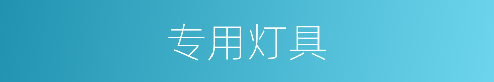 专用灯具的同义词