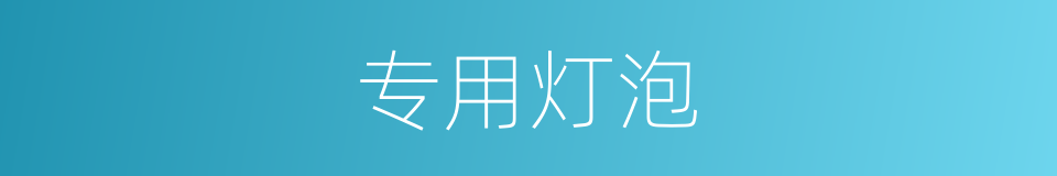 专用灯泡的同义词