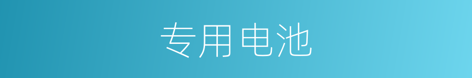 专用电池的同义词