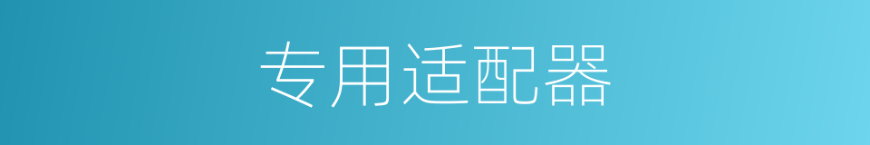 专用适配器的同义词