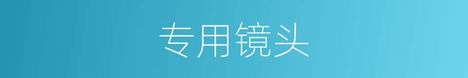 专用镜头的同义词