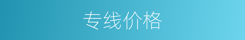 专线价格的同义词