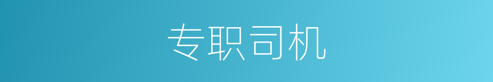 专职司机的同义词