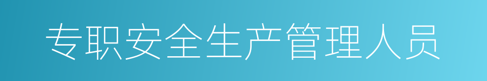 专职安全生产管理人员的同义词