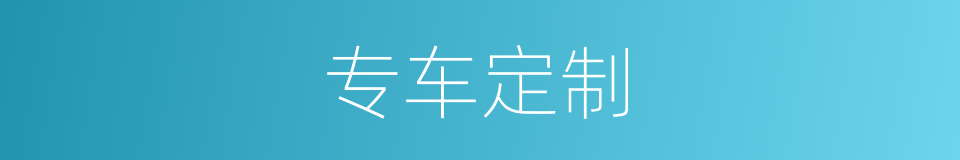 专车定制的同义词