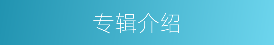 专辑介绍的同义词