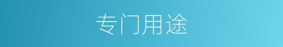 专门用途的同义词