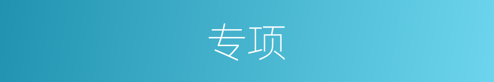 专项的意思