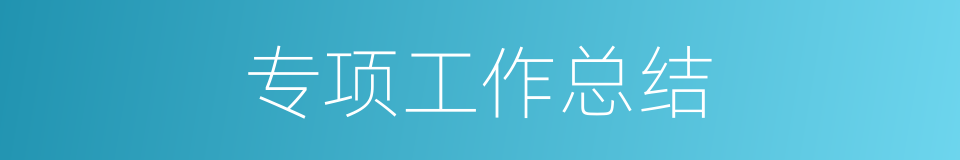 专项工作总结的同义词
