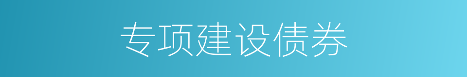 专项建设债券的同义词