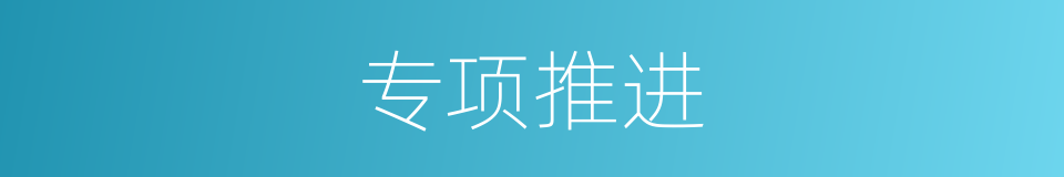专项推进的同义词