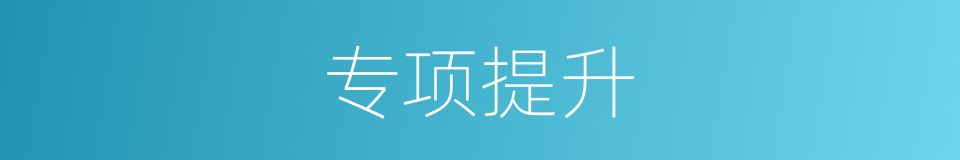 专项提升的同义词