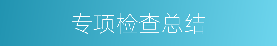 专项检查总结的同义词
